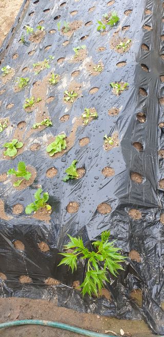 박선화님의 자유주제 · 자유게시판 작성글 사진