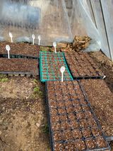 팜모닝 4월 농사계획 공유해요·참여글 게시글 이미지