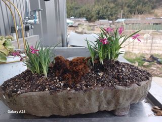 이상애초보농업님의 자유주제 · 자유게시판 작성글 사진