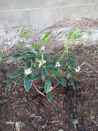 이상애초보농업님의 자유주제 · 자유게시판 작성글 사진