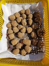 팜모닝 감자·영농일지 게시글 이미지