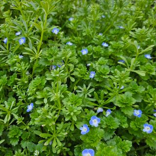 김지연님의 자유주제 · 자유게시판 작성글 사진