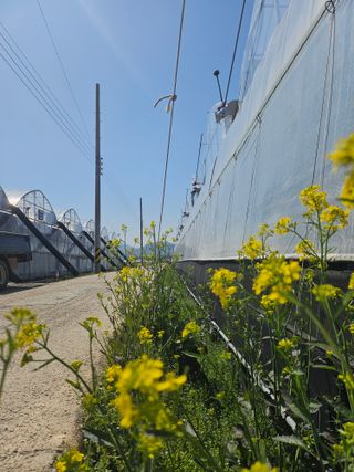 김지연님의 자유주제 · 자유게시판 작성글 사진