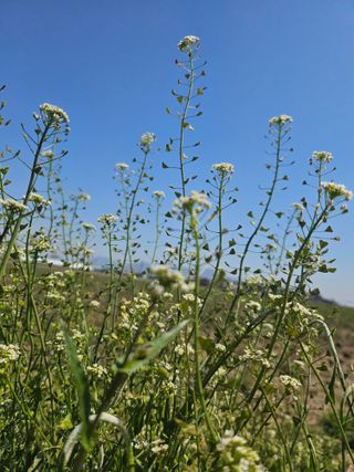 김지연님의 자유주제 · 자유게시판 작성글 사진