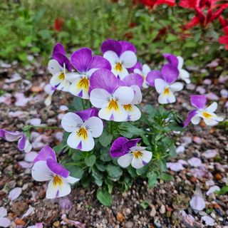 김지연님의 자유주제 · 자유게시판 작성글 사진