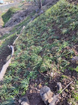 주영화님의 자유주제 · 자유게시판 작성글 사진