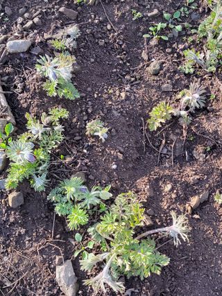 주영화님의 자유주제 · 자유게시판 작성글 사진