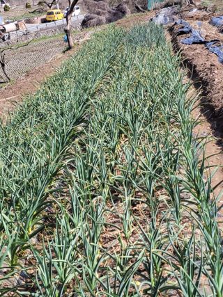 주영화님의 자유주제 · 자유게시판 작성글 사진