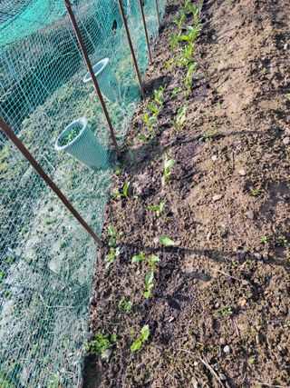 주영화님의 자유주제 · 자유게시판 작성글 사진