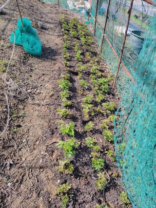 주영화님의 자유주제 · 자유게시판 작성글 사진