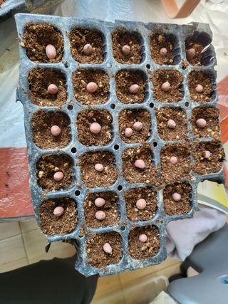 박순례님의 4월 농사계획 공유해요 · 참여글 작성글 사진