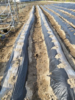 박순례님의 4월 농사계획 공유해요 · 참여글 작성글 사진