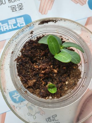 박순례님의 4월 농사계획 공유해요 · 참여글 작성글 사진