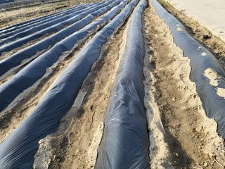 박순례님의 4월 농사계획 공유해요 · 참여글 작성글 사진