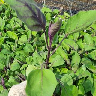 김문수님의 자유주제 · 자유게시판 작성글 사진