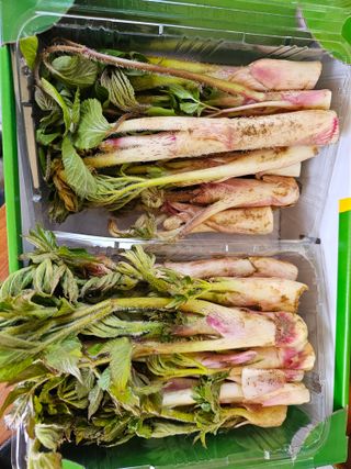 김두영님의 자유주제 · 자유게시판 작성글 사진