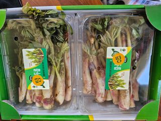 김두영님의 자유주제 · 자유게시판 작성글 사진