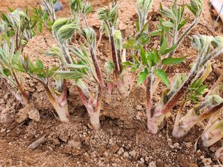 김두영님의 자유주제 · 자유게시판 작성글 사진