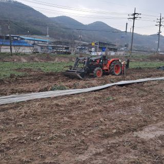 이은화님의 기타작물 · 영농일지 작성글 사진