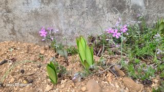 영월산지기148님의 자유주제 · 자유게시판 작성글 사진