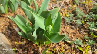 영월산지기148님의 자유주제 · 자유게시판 작성글 사진