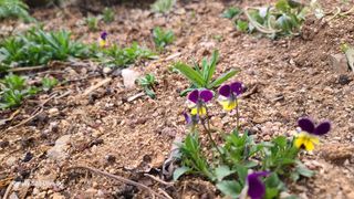 영월산지기148님의 자유주제 · 자유게시판 작성글 사진