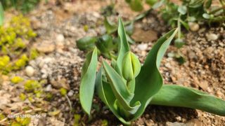 영월산지기148님의 자유주제 · 자유게시판 작성글 사진