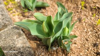 영월산지기148님의 자유주제 · 자유게시판 작성글 사진