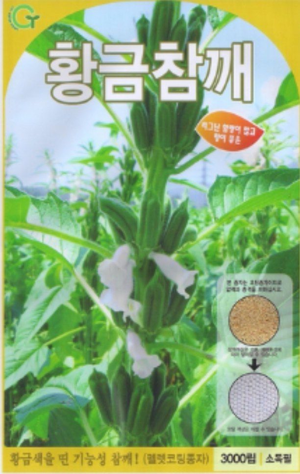 대산농사대장님의 장터 판매 상품 [다유들깨씨앗] 첨부 사진