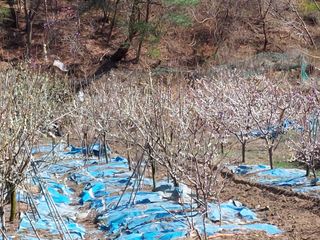 이원영님의 자유주제 · 사진전 작성글 사진