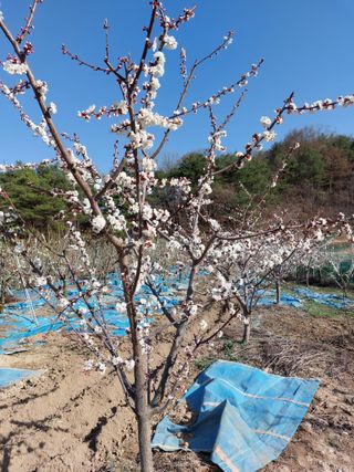 이원영님의 자유주제 · 사진전 작성글 사진