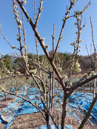 이원영님의 자유주제 · 사진전 작성글 사진