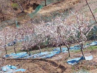 이원영님의 자유주제 · 사진전 작성글 사진