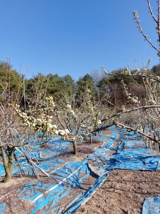 이원영님의 자유주제 · 사진전 작성글 사진
