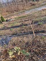 팜모닝 파·영농일지 게시글 이미지