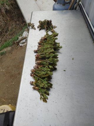 정영덕님의 자유주제 · 자유게시판 작성글 사진