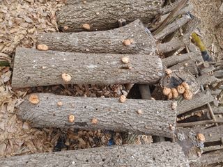 정영덕님의 자유주제 · 자유게시판 작성글 사진