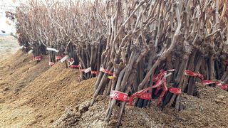 도기백님의 작성글 사진