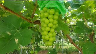 도기백님의 작성글 사진