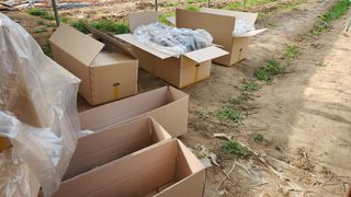 도기백님의 작성글 사진