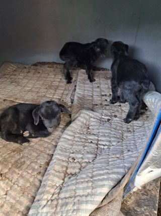 전희분님의 자유주제 · 사진전 작성글 사진