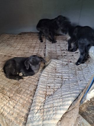 전희분님의 자유주제 · 사진전 작성글 사진