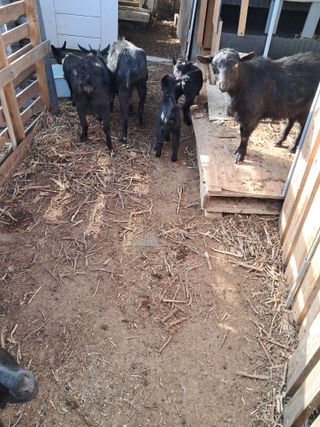 전희분님의 자유주제 · 사진전 작성글 사진