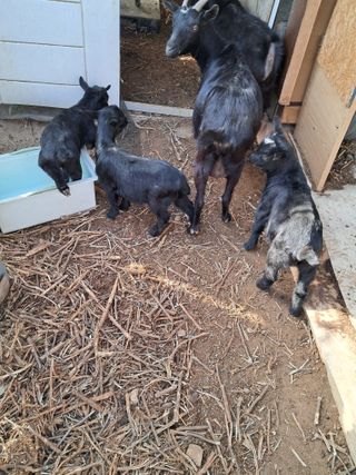 전희분님의 자유주제 · 사진전 작성글 사진