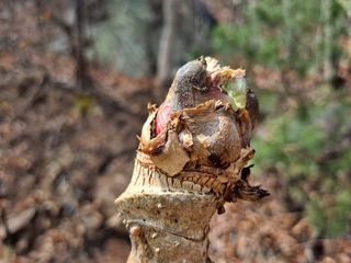 이상헌님의 4월 내 작물 자랑하기 · 참여글 작성글 사진