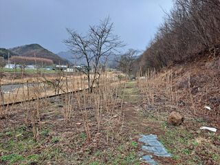 이상헌님의 4월 내 작물 자랑하기 · 참여글 작성글 사진