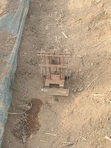 팜모닝 자유주제·자유게시판 게시글 이미지