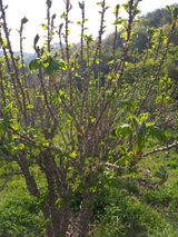 팜모닝 자유주제·사진전 게시글 이미지