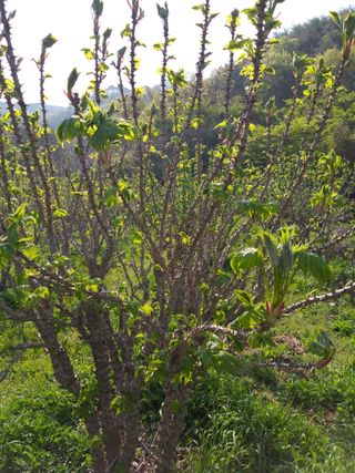 이용해님의 자유주제 · 사진전 작성글 사진