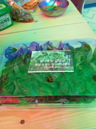 이용해님의 자유주제 · 사진전 작성글 사진